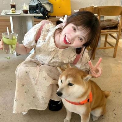 智叻狗仔队